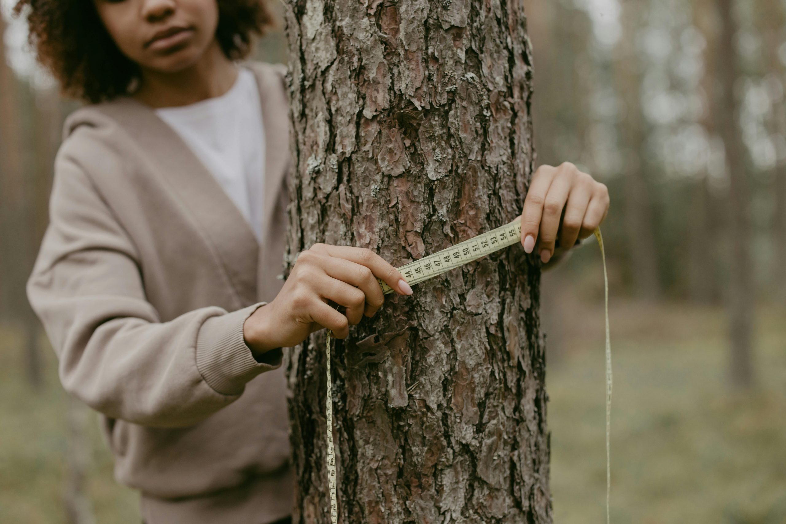 Young woman measuring tree trunk in a forest setting for environmental research.